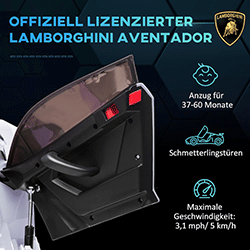 Elektro Kinderfahrzeug